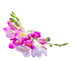 Similar image 7844199