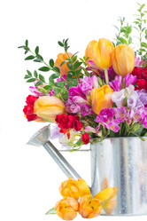 Similar image 7844201