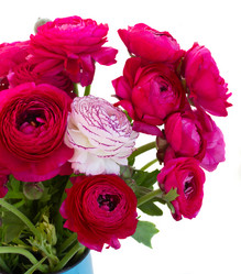 Similar image 7844222