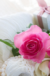 Similar image 7844229