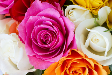 Similar image 7844238