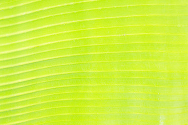 Similar image 7844248