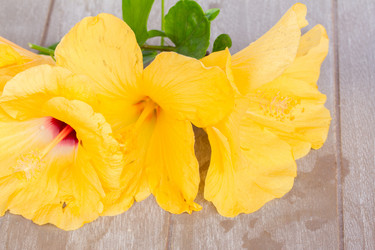 Similar image 7844255