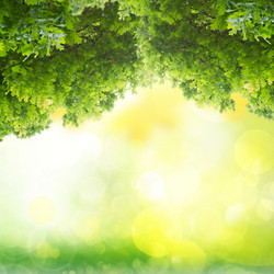 Similar image 7844263