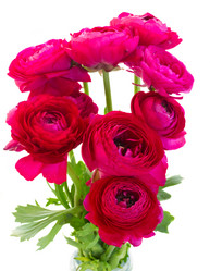 Similar image 7844288