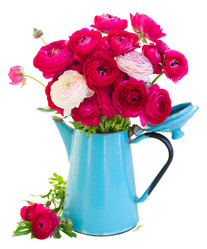 Similar image 7844300