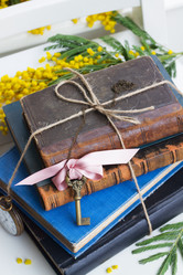 Similar image 7844301