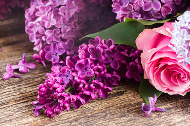 Similar image 7844339