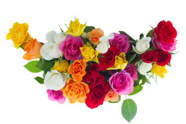 Similar image 7844361