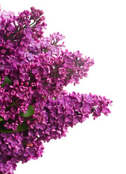 Similar image 7844368