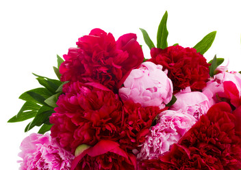 Similar image 7844428