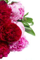 Similar image 7844457