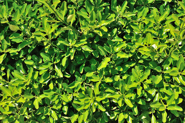 Similar image 7844477