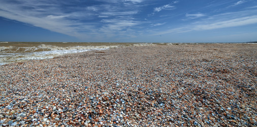 Similar image 7844741