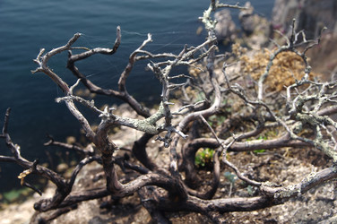 Similar image 7844774