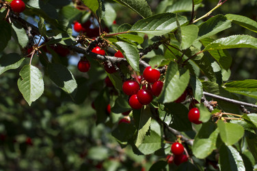 Similar image 7844853