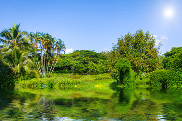 Similar image 7844887