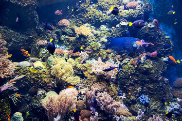 Similar image 7844903