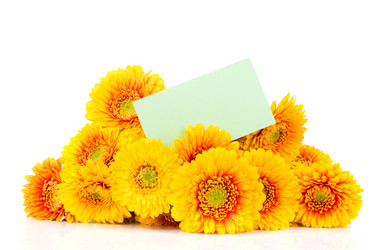 Similar image 7844928