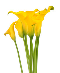 Similar image 7844929