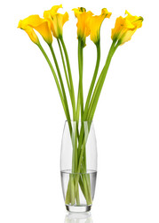 Similar image 7844930