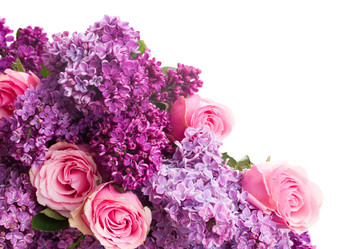 Similar image 7845212