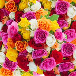 Similar image 7845220