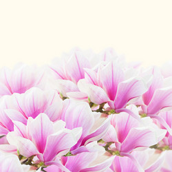 Similar image 7845221