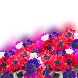 Similar image 7845223