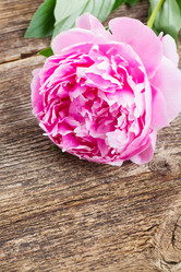 Similar image 7845228