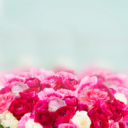 Similar image 7845233