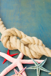 Similar image 7845235