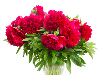 Similar image 7845244