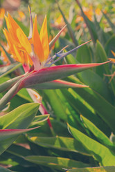 Similar image 7845271