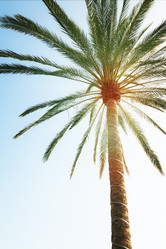 Similar image 7845273