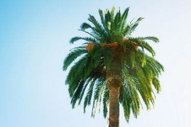 Similar image 7845274