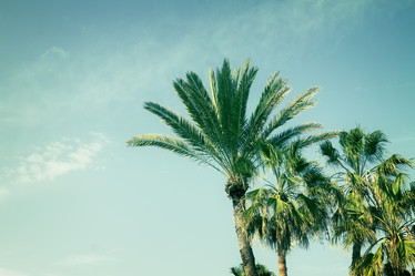 Similar image 7845275