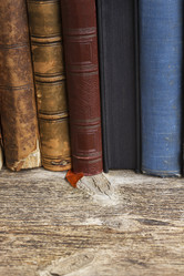 Similar image 7845294