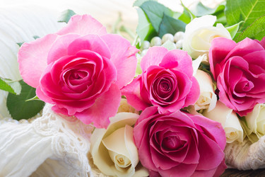 Similar image 7845298