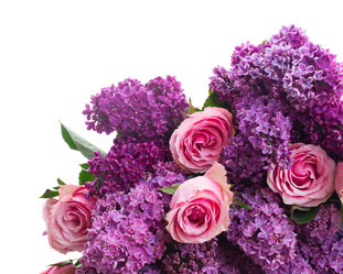 Similar image 7845309