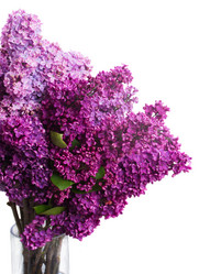 Similar image 7845311