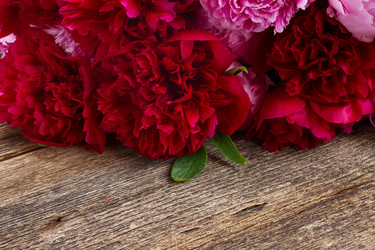 Similar image 7845315