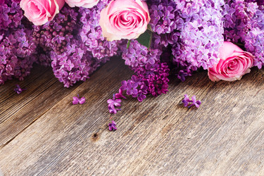 Similar image 7845328