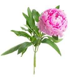 Similar image 7845376