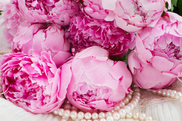 Similar image 7845387