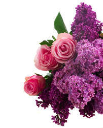 Similar image 7845390