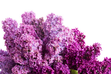 Similar image 7845397