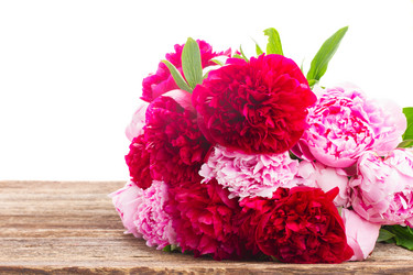 Similar image 7845399