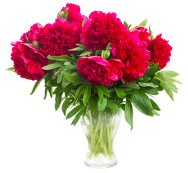 Similar image 7845402