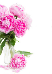 Similar image 7845404